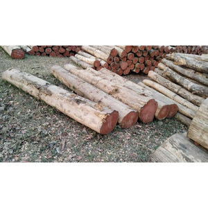 Bûches de bois tendres de haute qualité, bûches carrées, bois naturel, idéal pour la menuiserie, les revêtements de sol et les projets de meubles - Product Image 6