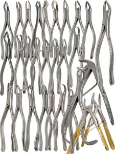 Nouvelles pinces d'extraction dentaire, instrument de chirurgie buccale, outil d'extraction des dents, outil chirurgical dentaire professionnel en acier inoxydable - Product Image 2