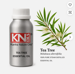 Aceite Esencial de Árbol de Té de Grado Premium, Fabricante a Granel, Melaleuca Alternifolia, Certificado Orgánico, Exportador Global, 100% Puro, Cosmético - Product Image 1