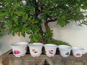 Maceta impresa personalizada de cuatro estaciones para decoración interior y exterior del hogar, maceta de varios tamaños para decoración de plantas - Product Image 4