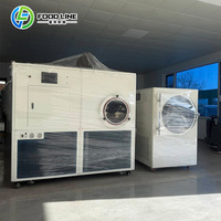 Vriesdroogmachine voor fruit en groenten, vacuümvriesdroogmachine voor gevriesdroogde drakenvrucht