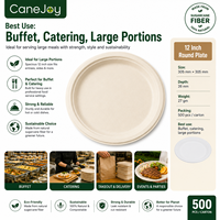 Sac en bagasse robuste et léger, jetable, 12 pouces, écologique, compostable, biodégradable, résistant à l'eau, compatible micro-ondes, pour le camping