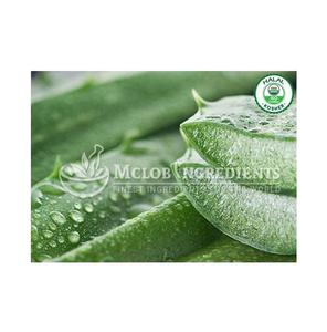 Polvo de Aloe Vera Orgánico, Extracto Herbal Natural, Ingrediente Botánico para Procesamiento de Alimentos, Aplicaciones Alimentarias Funcionales, Bebidas - Product Image 3