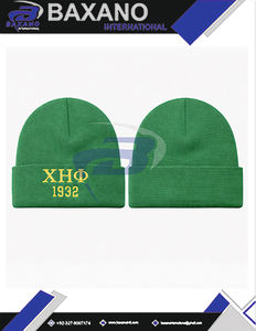 Gorro de Invierno de Punto de la Hermandad Chi Eta Phi, Verde y Amarillo, Bordado en 3D, Gorro de Invierno de Punto Premium - Product Image 6