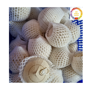 Noix de coco tendre |   Fruits verts frais |   Utilisation pour la consommation |   Vente en gros |   Produits Agricoles Directs du Vietnam - Product Image 4