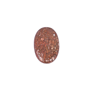 Pierre précieuse en os de dinosaure, 13,20 carats, 23x15mm, forme ovale, pierre brute - Product Image 2