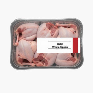 Premium Frozen Pigeon Fresh Pigeon <b>Meat</b> Packed for Global Wholesale Buyers - Product Image 1
