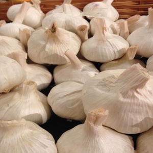 Ail frais de bonne qualité 5cm 5.5cm 6cm, ail sec blanc pur, vente en gros, exportateur chinois, gingembre, ail frais naturel - Product Image 5