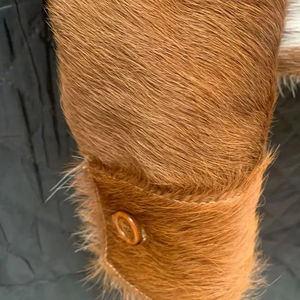 Blouson en cuir de vachette élégant pour homme avec fourrure véritable, en peau de vache unique, idéal pour l'équitation hivernale et les activités de plein air - Product Image 5