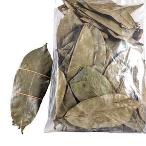 Hojas de Guanábana Vietnamita Premium Naturales, Secadas al Sol, Producto Botánico Cuidadosamente Seleccionado, Limpio, Aromático, Calidad de Exportación - Product Image 4