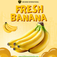 Exportkwaliteit verse bananen _ Vietnamese bananen in bulk voor importeurs & distributeurs