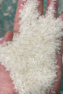 ข้าวหอมมะลิเมล็ดยาว นังฮวา ลอง ข้าวหอมขาวแข็งแห้งจากเวียดนาม 5% ข้าวหัก จากผู้ผลิตโดยตรง - Product Image 6