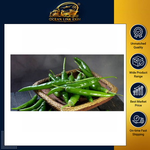 High Quality <b>Fresh</b> Green Chili Premium Grade Natural <b>Vegetable</b> for Retail Wholesale and Global Export Markets - Product Image 2