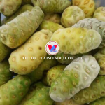 Jus de fruit de noni naturel premium du Vietnam, 100% pur fruit tropical - Product Image 2