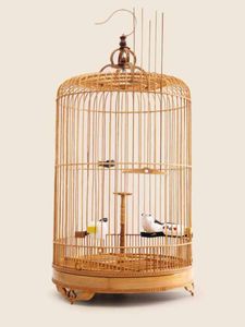 Basics <b>Bird</b> <b>Cage</b> <b>Large</b> Includes Locking Casters and <b>Bird</b> <b>Cage</b> Accessories - Product Image 3