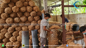 Top product coir log riverbank lake protection <b>vegetation</b> restoration premium biodegradable organic coconut fiber wattles log - Product Image 5