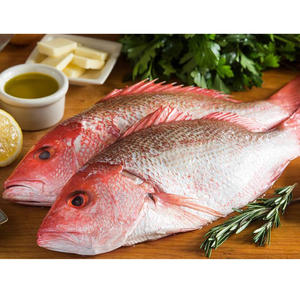 Poisson Tilapia Rouge Frais Congelé, Poisson Tilapia Rouge pour les Acheteurs de Tilapia Rouge - Product Image 4