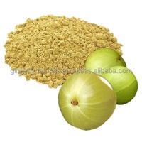 Fournisseur en gros de poudre de fruit d'Amla séché (qualité cosmétique, brillance capillaire) directement d'Inde - Gingerly Naturals