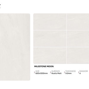 Elegantes azulejos de porcelana mate rústica de primera calidad, tamaño 600x1200, formato grande para decoración de interiores. - Product Image 1