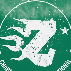 Camisetas Personalizadas para Hombre, 100% Algodón, Estilo Urbano, Gráficas, Cuello Redondo, Corte Holgado, Tejido Grueso de 200 Gramos, Impresión Digital - Product Image 6