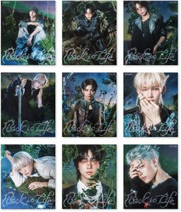 &TEAM Back to Life KR 1er Mini Álbum Versión ROAR CD Kpop - Product Image 1