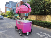 Chariot de vente de crème glacée vintage classique, portable, à pousser à la main, populaire pour les terrains de jeux commerciaux et les rues