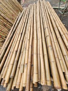 Wholesale Natural <b>Bamboo</b> Poles Thick <b>Raw</b> <b>Material</b> for Construction and Decoration - Product Image 2