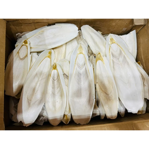 กระดูกปลาหมึกแห้งขายส่ง – อาหารเสริมแคลเซียมจากธรรมชาติ - Product Image 5