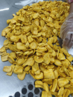 Gedroogde Jackfruit Schijfjes Zoet FD Proces Techmifood Merk Bulkverpakking Snack Fruitchips Vacuüm Verpakt Export Kwaliteit Vietnam 12
