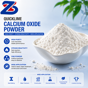 Poudre de chaux vive de qualité industrielle, oxyde de calcium haute activité pour applications métallurgiques et minières - Marque Zhongsheng - Product Image 2