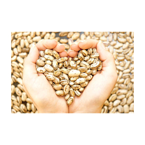 Service OEM, Qualité Supérieure, Vente en Gros de Haricots Pinto de Qualité Alimentaire, Prêts à l'Expédition, Fournisseur d'Exportation en Vrac de Qualité Supérieure - Product Image 1