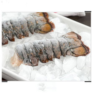 Homards entiers congelés pour expédition longue distance, stockage frigorifique et exportation internationale - Product Image 5