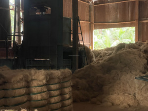 Mayoristas vietnamitas suministran fibra de coco cruda natural ecológica para muebles artesanales tarifa barata directa Mr.Huy - Product Image 3