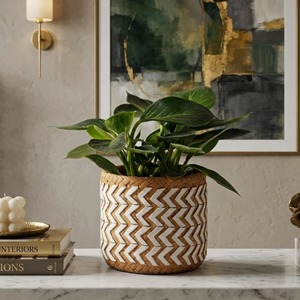 Maceta de ratán de lujo para mesa de esquina de sala de estar y decoración de plantas de oficina, para fines decorativos, venta al por mayor desde India. - Product Image 4