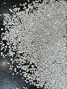 Arroz de Grano Largo Calrose de California, 5% de Grano Partido, Arroz Blanco Can Tho, Alta Calidad, Precio Económico (JACOB+84 847538089) - Product Image 3