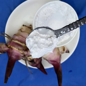 Meilleure vente : Amidon d'arrowroot biologique standard de qualité supérieure, goût naturel, pour aliments et ingrédients, emballé en sachet, provenant du Vietnam - Product Image 1