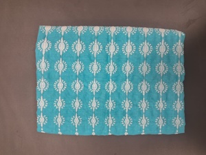 Tissu en coton bleu clair brodé Schiffli avec des détails en fil blanc et bordure festonnée pour robes féminines, vente en gros - Product Image 2