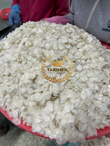 Fabrication d'écailles de poisson séchées au soleil pour l'exportation d'écailles de poisson séché Ossein écailles de bar écailles de poisson Tilapia de qualité supérieure du Vietnam - Product Image 2