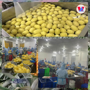 Pineapple Congelado en Cubos IQF, los Más Vendidos, Trozos Amarillos Jugosos, Fruta Congelada Natural, Suministro a Granel para Fabricantes de Alimentos - Product Image 2
