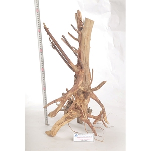 Decoración de Acuario de Madera Natural, Forma Irregular, Adorno Ecológico para Pecera, Hecho en Vietnam - Product Image 3
