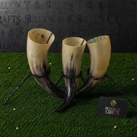 Corne à boire viking en corne de buffle naturelle avec support en fer, artisanale, vaisselle médiévale