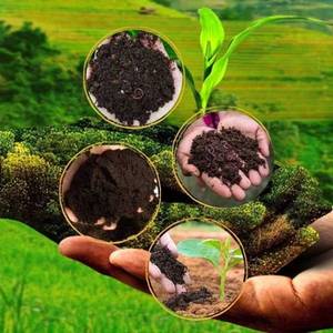 Engrais organique 100% naturel à base de vermicompost – Compost de vers de terre riche en nutriments pour les plantes - Product Image 1