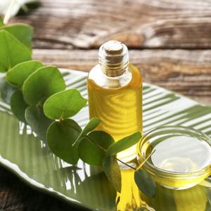 Aceite Esencial de Eucalipto de Alta Gama para Purificación del Aire, Aromatización de Habitaciones y Aplicaciones Naturales para el Cuidado del Hogar a un Precio Económico - Product Image 4
