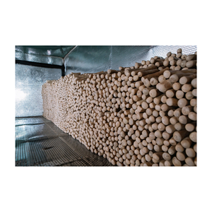 SUPERIOR <b>MATERIAL</b> 2026 Coffee Wood Chew Stick Strong Dog Toy for Chewing Exercise and Boredom Relief - Product Image 5