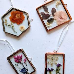 Cadre photo hexagonal en métal et verre personnalisé, double face, transparent, flottant, style nordique, pour spécimens botaniques, vente en gros - Product Image 5