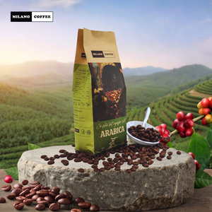 เมล็ดกาแฟอาราบิก้าพรีเมียมมิลาน 250 กรัม คั่วเต็มเมล็ด ฟูลซิตี้พลัส คุณภาพเยี่ยม เวียดนาม ขายส่ง รับผลิตแบบ OEM ODM - Product Image 3