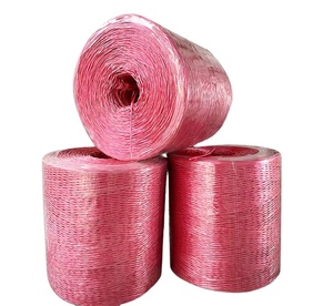PE Pp Twine Premium Quality String For Crop Tying Packaging Bundling Fishing Nets Outdoor Camping Utility Durable Lightweight - Product Image 4