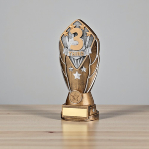 Durable Light Weight 1st 2nd 3rd Place Modern Portable Metal Awards-Gold Silver Bronze <b>Trophies</b> <b>Engraved</b> Laurel Wreath Number - Product Image 4