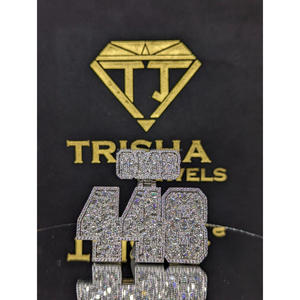 Colgante premium con número y letra "448" con diamante Moissanite VVS en plata de ley 925, joyería personalizada de Trisha Jewels - Product Image 1