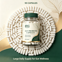 Complément Probiotique Naturel OEM pour Femmes Adultes – Santé Digestive et Défense Immunitaire Certifiée – 90 Capsules – Vente en Gros Marque Blanche